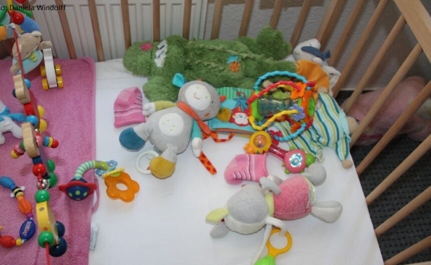 Moz13_4_2018 Behütetes Nest für Babys in Not
